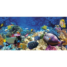 Cersanit Petra Universal Glass   многоцветный UG2L452 30х60 Бордюр 30x60 см, Польша - фото 1 - фото 1