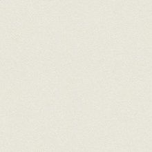 Rasch Passepartout 606638 Виниловые обои 1005x53 см, цвет: серый, Германия - фото 1 - фото 1