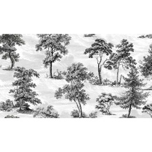 Vallelunga Decorandum 6000680 Saltus* Декор 50x100 см, Италия - фото 1 - фото 1