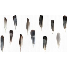 Vallelunga Decorandum 6000681 Pluma* Декор 50x100 см, Италия - фото 1 - фото 1